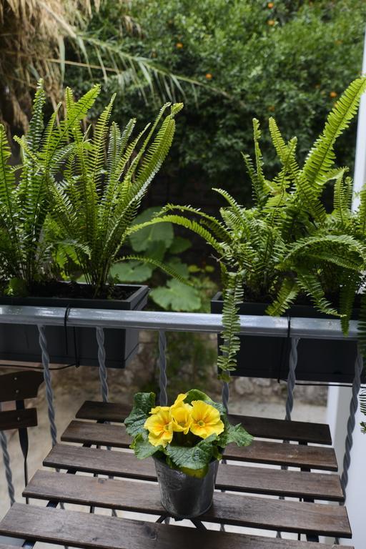 Your "Home Away From Home" In Acropolis Атина Екстериор снимка
